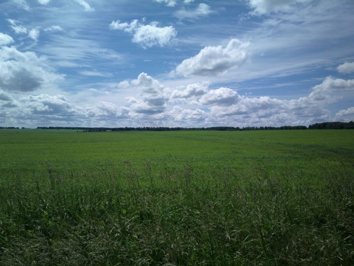  Nokia 808 PureView   