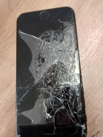       Xiaomi  Apple ()
