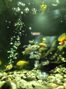 Обзор OPPO Reno15 5G: смартфон, который вернет вас в начало 2000-х