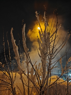 Обзор OPPO Reno15 5G: смартфон, который вернет вас в начало 2000-х