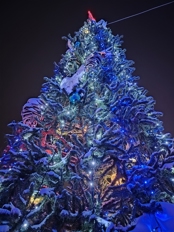 Обзор Honor X8d: большие батареи добрались до бюджеток!