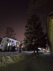 Обзор Honor X8d: большие батареи добрались до бюджеток!