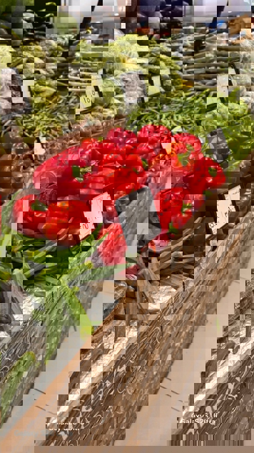 Новые примеры фото с камер Samsung Galaxy S26 Ultra