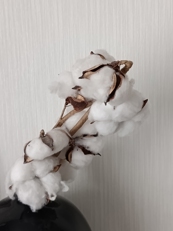 Обзор-сравнение Xiaomi Redmi Note 15, Note 15 Pro, Pro 5G и Pro+ 5G