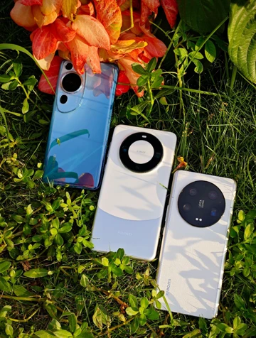 Яблочный погром: итоги китайского рынка в декабре