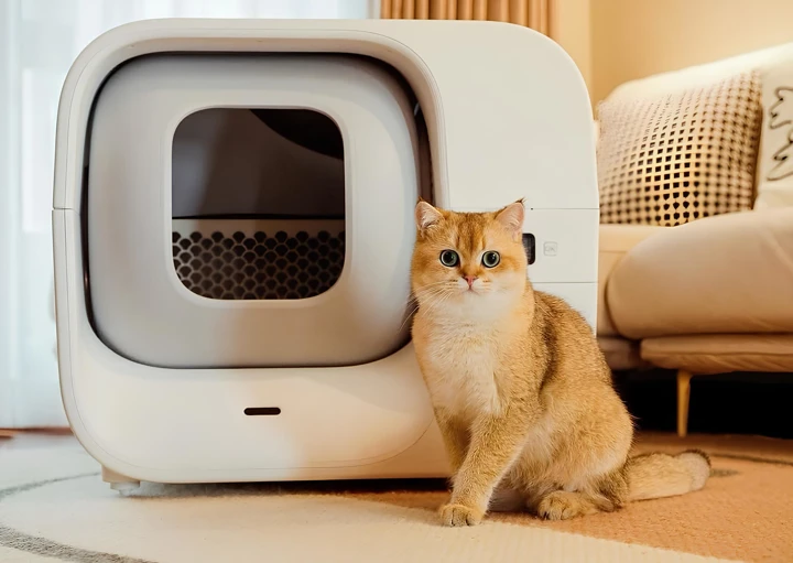Amicura Cura 3 – полезный гаджет для владельцев кошек