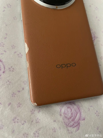 Эко-кожа станет редкостью в фотофлагманах 2025 года