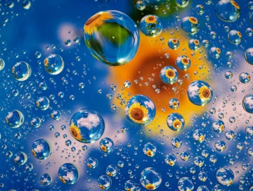 Много примеров фото с камер Honor Magic 8 RSR Porsche Design