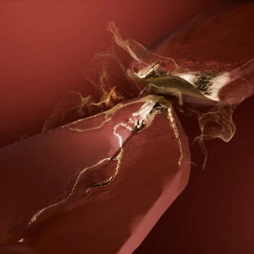 Обои Huawei Mate XT стали доступны всем желающим [скачать]