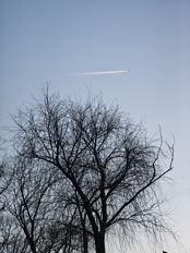 Обзор OPPO Reno 15 5G: интересный и приятный смартфон