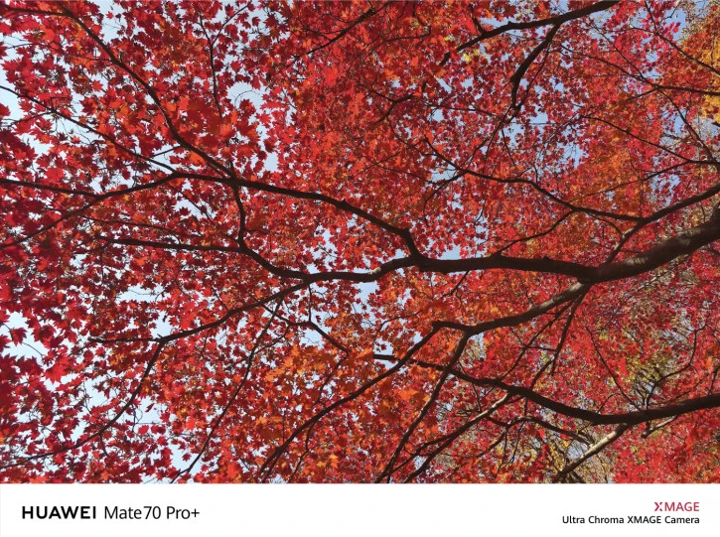 Первые примеры фото с камер Huawei Mate 70 Pro+