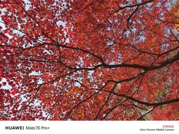 Первые примеры фото с камер Huawei Mate 70 Pro+