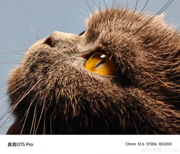 Как снимает Realme GT5 Pro? Официальные примеры фото