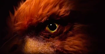 Realme готовит новую линейку смартфонов. Атака по Redmi Turbo 3?