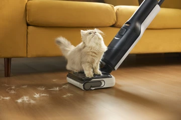 Roborock объявила скидки на популярные пылесосы на Ozon