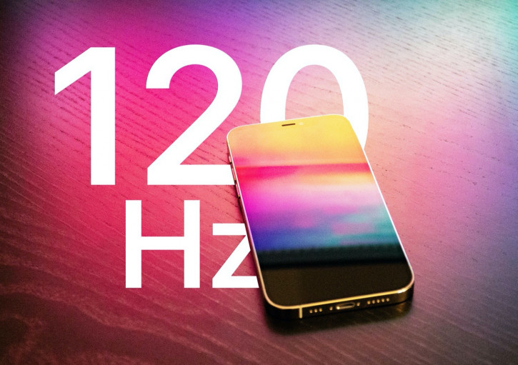    iPhone 13   120- 