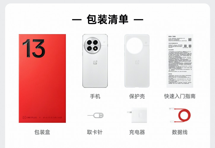   ? OnePlus 13      