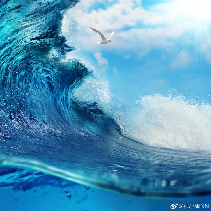 OPPO Find N5 -      