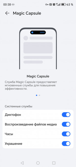  Honor X9c:    