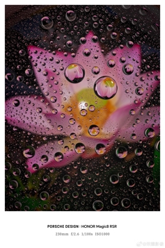 Много примеров фото с камер Honor Magic 8 RSR Porsche Design