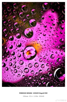 Много примеров фото с камер Honor Magic 8 RSR Porsche Design