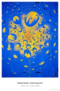 Много примеров фото с камер Honor Magic 8 RSR Porsche Design