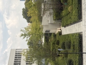 Обзор iPhone 17: смартфон года?