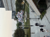 Обзор iPhone 17: смартфон года?