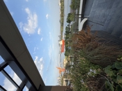 Обзор iPhone 17: смартфон года?