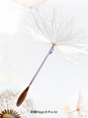 Honor Magic 8 Pro Air получил дату презентации и первый тизер