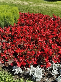 Обзор Redmi K Pad: победил Lenovo Legion Y700 Gen 4? 