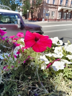 Обзор Redmi K Pad: победил Lenovo Legion Y700 Gen 4? 