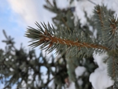 Обзор Samsung Galaxy Z TriFold: один девайс для всех задач?