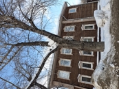 Обзор Samsung Galaxy Z TriFold: один девайс для всех задач?