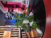 Обзор Samsung Galaxy Z TriFold: один девайс для всех задач?