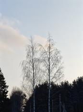 Обзор Xiaomi 17 Ultra by Leica: с ним хочется снимать