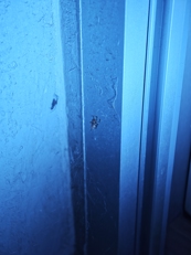 Обзор Xiaomi 17 Ultra by Leica: с ним хочется снимать