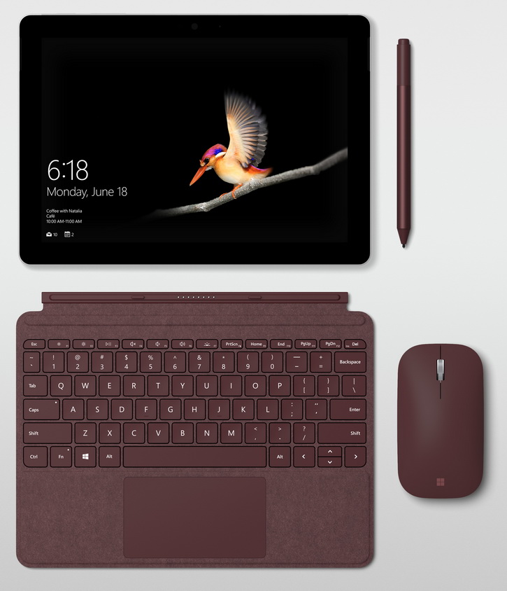  Microsoft Surface Go      