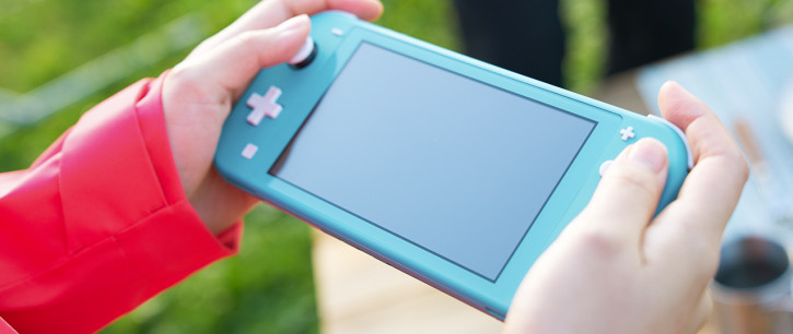  Nintendo Switch Lite       