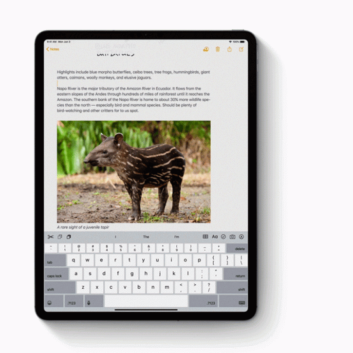  iPadOS       Apple