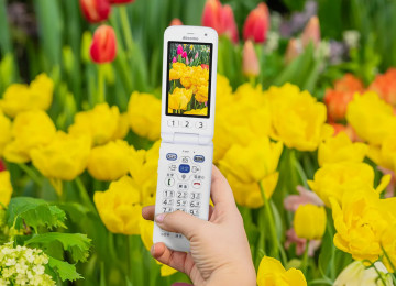  FCNT Raku-Raku Phone F-41F:   14 