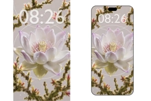 Huawei и ВШЭ подвели итоги совместного конкурса фотографии и дизайна