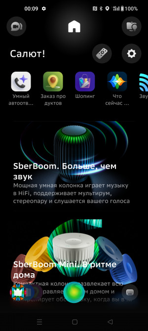 Обзор SberBoom и SberBoom Mini: сберегательный «бум!»
