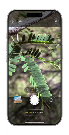      iOS 19?  !