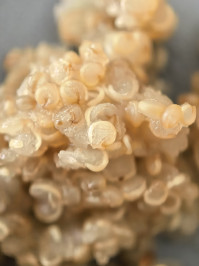 Камера Huawei Mate 70 Pro: обзор в деталях