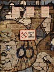 Обзор Realme 16 Pro+: японский дизайн + китайская начинка