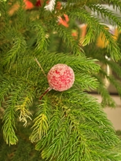 Обзор Realme 16 Pro+: японский дизайн + китайская начинка