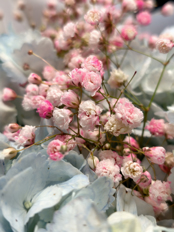 Magic 8 Pro Air photo sample