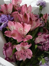 Обзор Vivo X300: главный компакт 2026 года