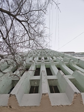 Обзор Honor Magic 8 Pro: уютный флагман